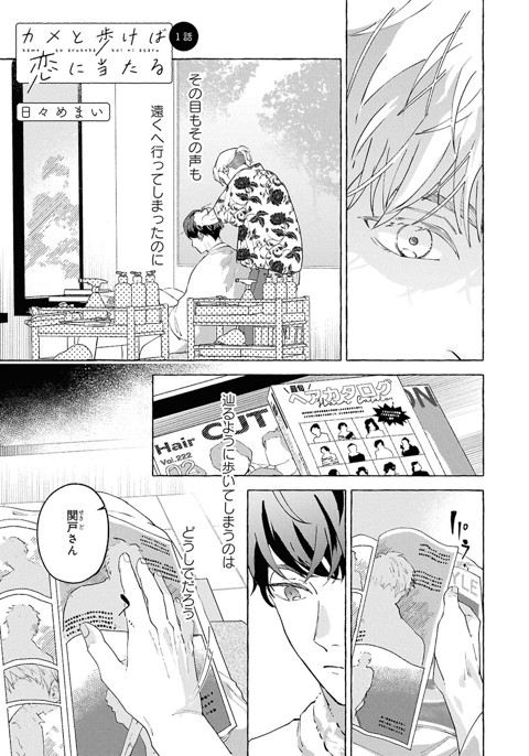 カメと歩けば恋に当たる