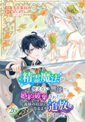 精霊魔法が使えない無能だと婚約破棄されたので、義妹の奴隷になるより追放を選びました 26 のサムネイル