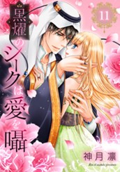 黒燿のシークは愛を囁く 11 のサムネイル