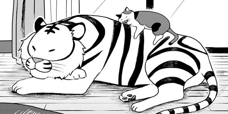 ネコ先輩さすがです！