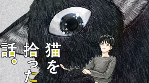 猫を拾った話。