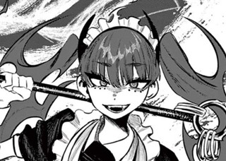 魔法少女リインカーネーション