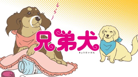 兄弟犬 ともえ １ １ あんちゃんと弟 コミックdays