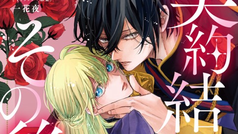 契約結婚のその後　～追い出した夫が私の価値を知るまで～