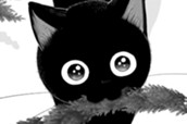 ライフ５　触れてほしくないこと（１） のサムネイル