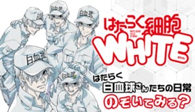 はたらく細胞WHITE