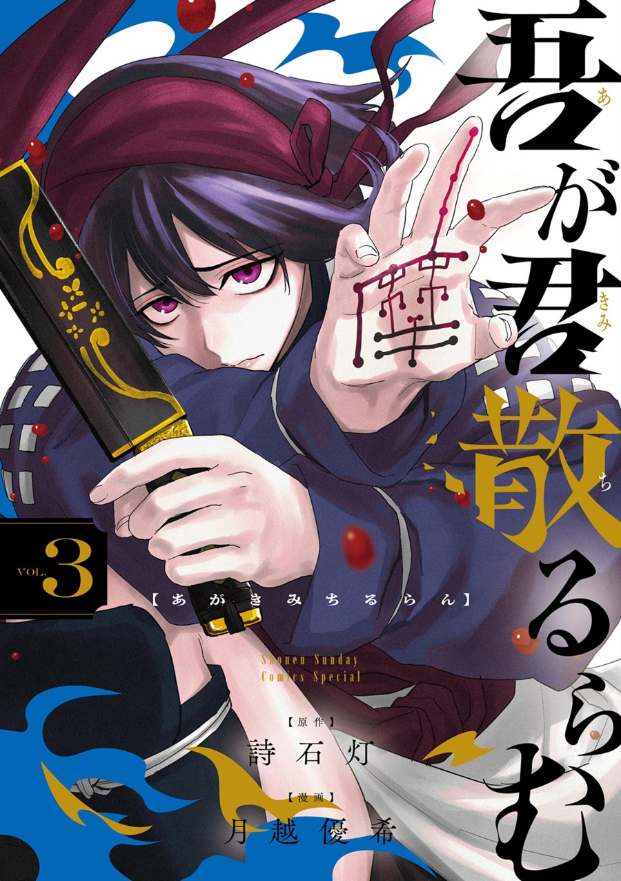 吾が君散るらむ ３