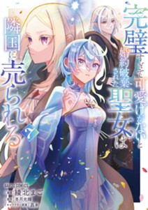 完璧すぎて可愛げがないと婚約破棄された聖女は隣国に売られる 7