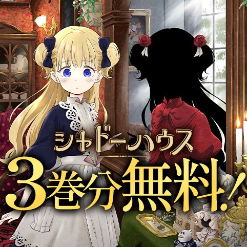 シャドーハウス