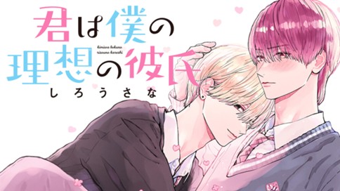 君は僕の理想の彼氏