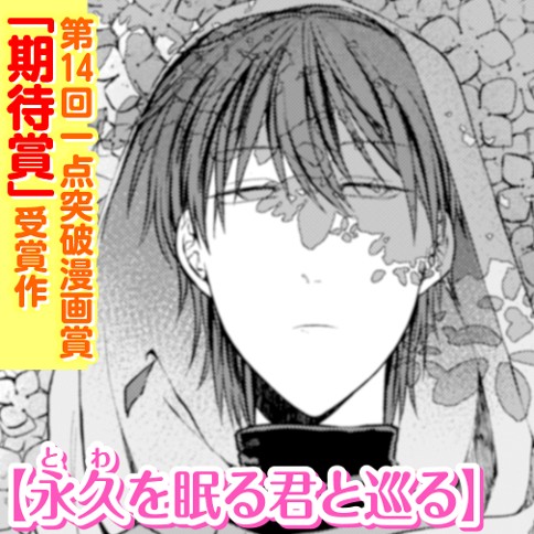 永久を巡る君と眠る