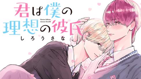 君は僕の理想の彼氏