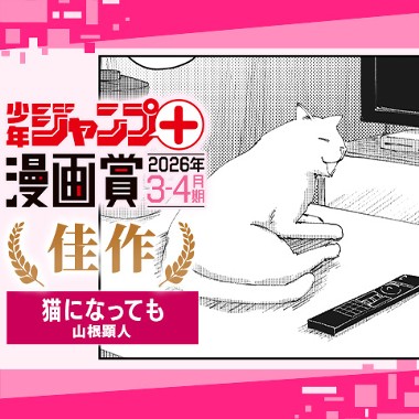 猫になっても／ジャンプ＋漫画賞 2026年3-4月期