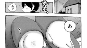 アザラシのいる生活