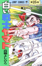 白い戦士ヤマト 集英社版 25 のサムネイル