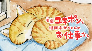 老猫ユキポンと漫画家父ちゃんのお仕事なし