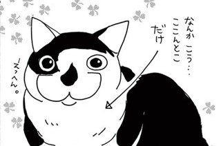 第1話 そろえてちょうだい ぷらす いくえみ綾 Feel Web マンガの数だけ愛がある