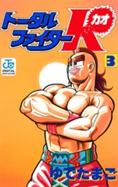 トータルファイターK 3 のサムネイル