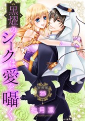 【分冊版】黒燿のシークは愛を囁く 23 のサムネイル