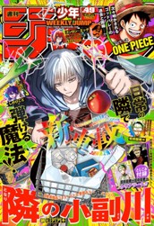 週刊少年ジャンプ 2025年49号 のサムネイル