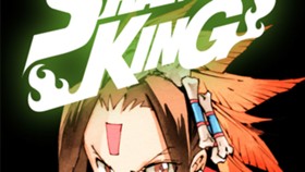 SHAMAN KING ～シャーマンキング～　KC完結版