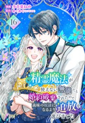 精霊魔法が使えない無能だと婚約破棄されたので、義妹の奴隷になるより追放を選びました 16 のサムネイル