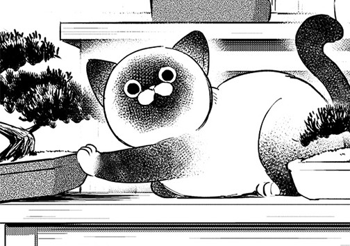 御隠居VSにゃん吉