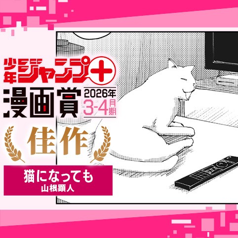 猫になっても／ジャンプ＋漫画賞 2026年3-4月期