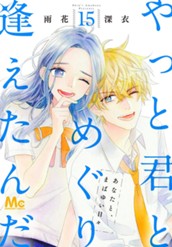 やっと君とめぐり逢えたんだ 15 のサムネイル