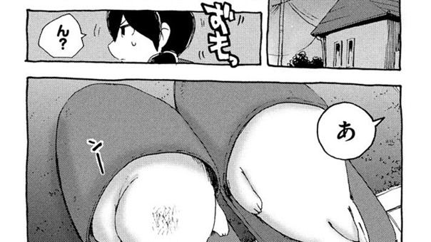 アザラシのいる生活
