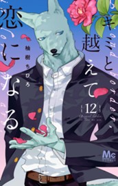 キミと越えて恋になる 単行本版 12 のサムネイル