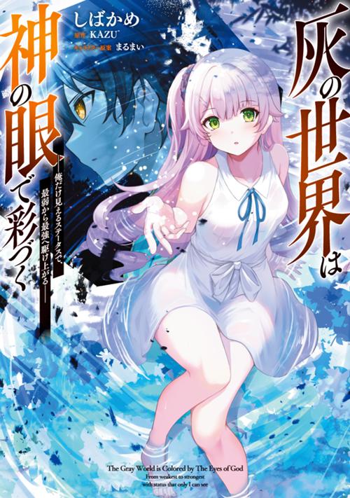 灰の世界は神の眼で彩づく　～俺だけ見えるステータスで、最弱から最強へ駆け上がる～