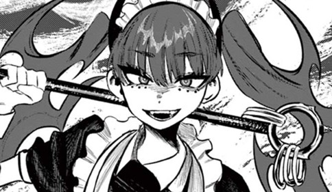 魔法少女リインカーネーション