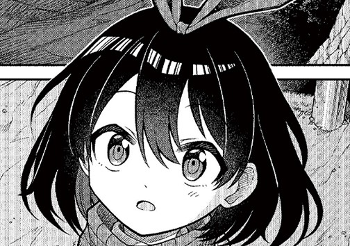 流星のエントロピー