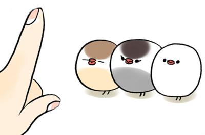 ブンチョぶんちょ！
