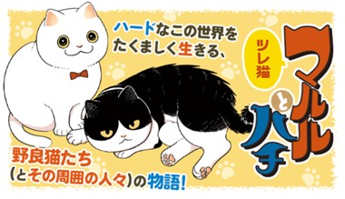 ツレ猫 マルルとハチ