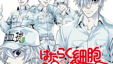 はたらく細胞ｗｈｉｔｅ 蟹江鉄史 清水茜 第２話 はじめての訓練 コミックdays