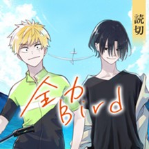 全力Bird