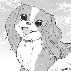 夜明けをつれてくる犬