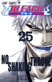 BLEACH モノクロ版 25 のサムネイル