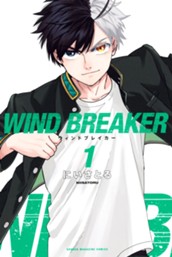 ＷＩＮＤ　ＢＲＥＡＫＥＲ（１） のサムネイル