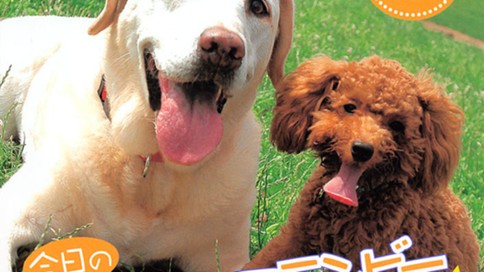 今日のさーびす＆フランビー