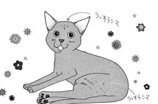 第1話 そろえてちょうだい ぷらす いくえみ綾 Feel Web マンガの数だけ愛がある