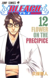 BLEACH モノクロ版 12 のサムネイル