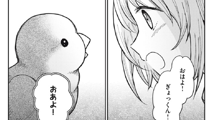 兄のインコ