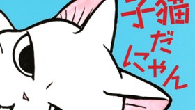 ふくふくふにゃ～ん　子猫だにゃん
