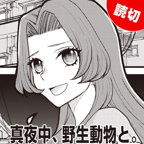 真夜中、野生動物と。