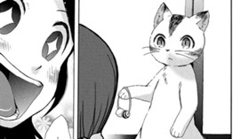 願いを叶えた猫