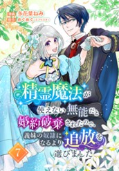 精霊魔法が使えない無能だと婚約破棄されたので、義妹の奴隷になるより追放を選びました 7 のサムネイル