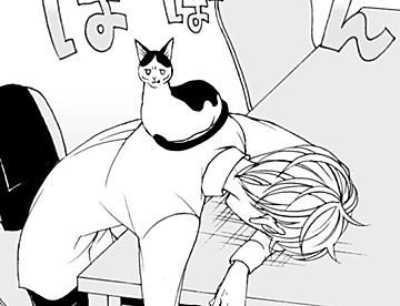 【こまち　ページ】 こまち👀 (@komachik1221) / Posts / X